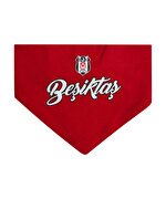 BEŞİKTAŞ BEBEK MAMA ÖNLÜĞÜ 4526302