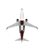 BEŞİKTAŞ 1903 LOGOLU MAKET UÇAK ZEKUPP BOEİNG 737-800 UCK0230