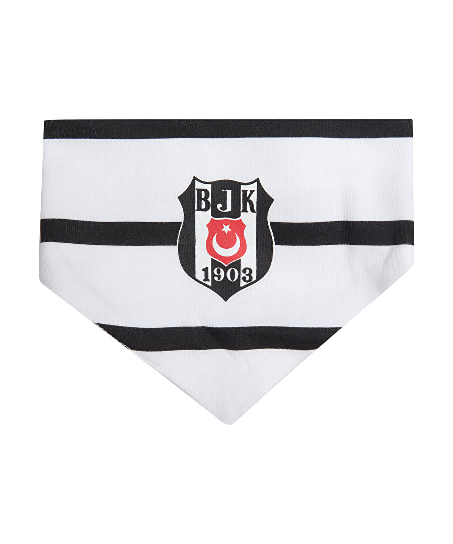 BEŞİKTAŞ BEBEK MAMA ÖNLÜĞÜ 4526301