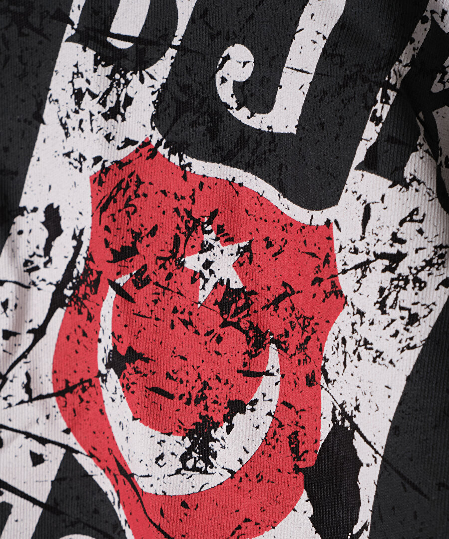 BEŞİKTAŞ ERKEK T-SHİRT 7627117