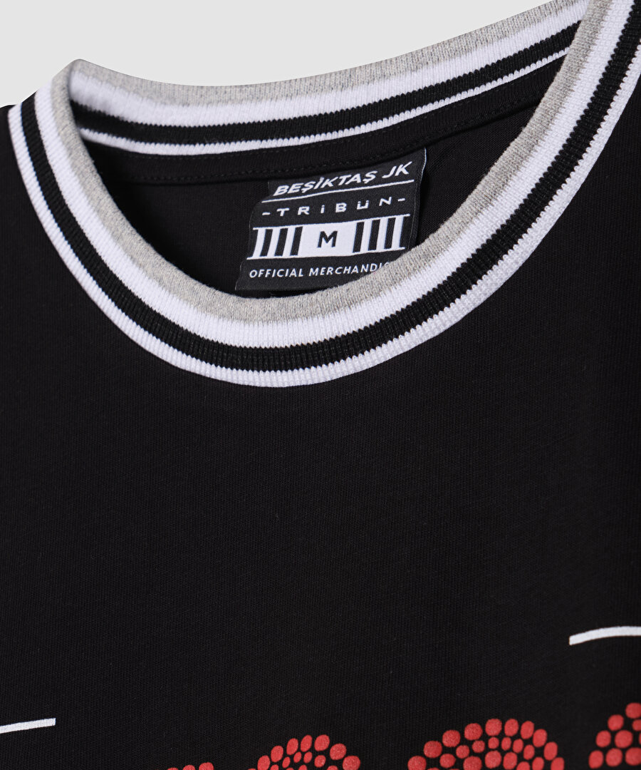 BEŞİKTAŞ ERKEK T-SHİRT 7627133