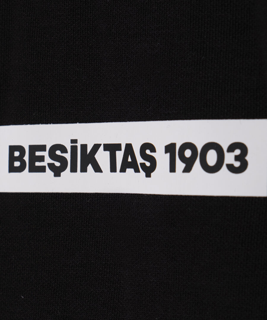 BEŞİKTAŞ ERKEK SWEATSHİRT 7627202