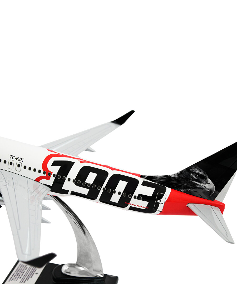 BEŞİKTAŞ 1903 MAKET UÇAK ZEKUPP BOEİNG 737-800 UCK0226