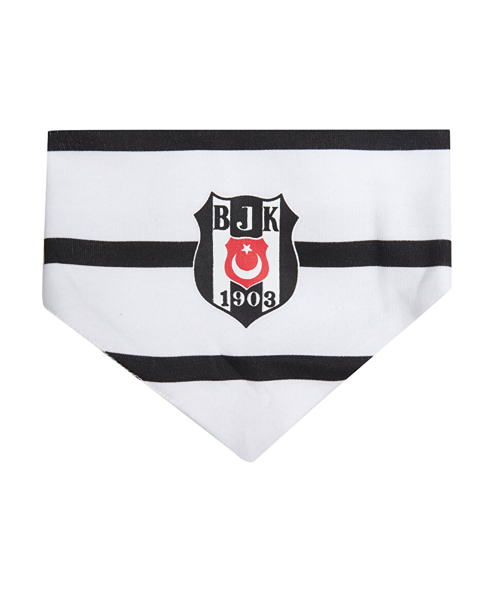 BEŞİKTAŞ BEBEK MAMA ÖNLÜĞÜ 4526301